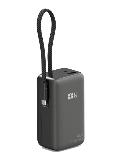 RAVPower RP-PB1246  PD40W Power Bank  with fixed AC plug charger  IN Black